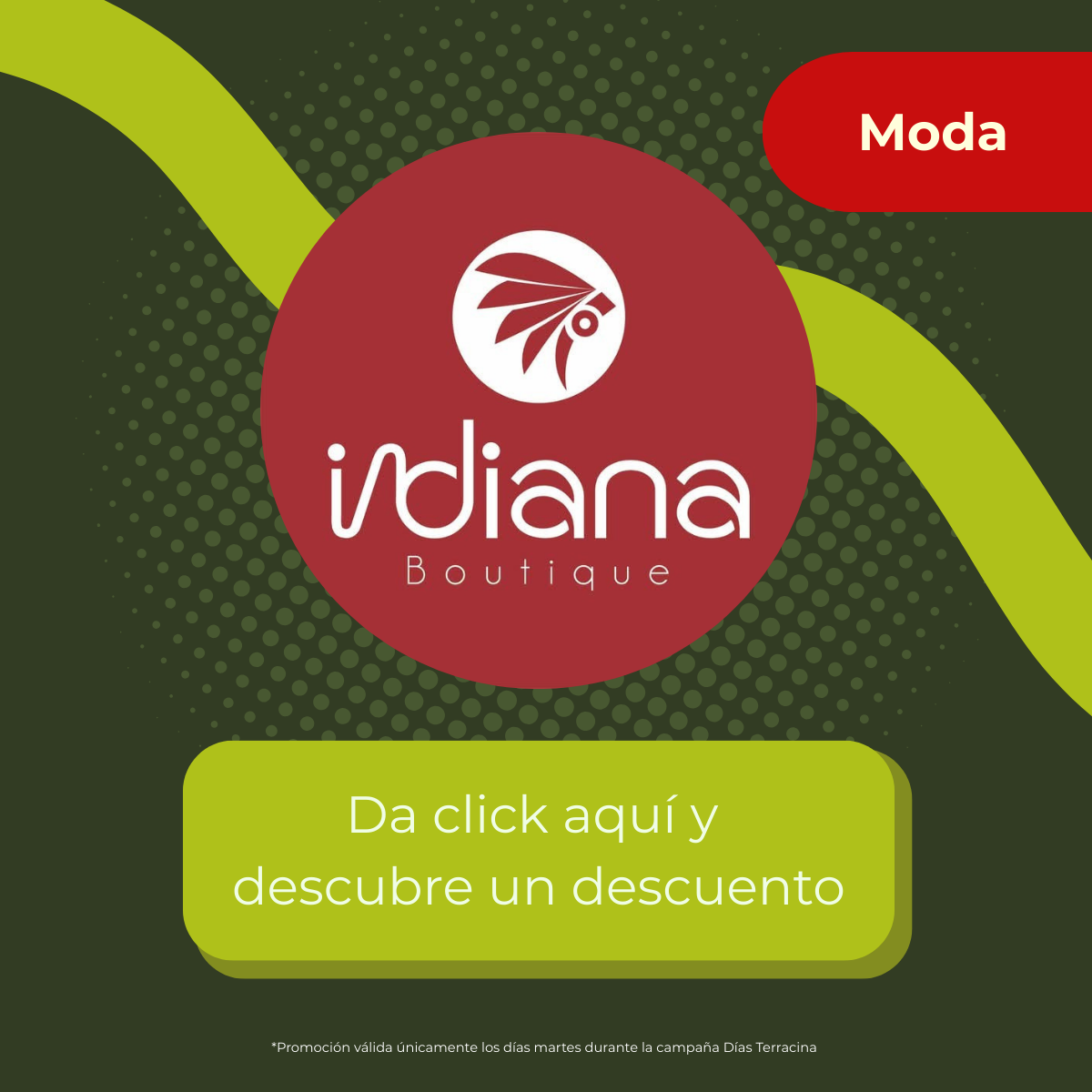 Dias terracina -Indiana