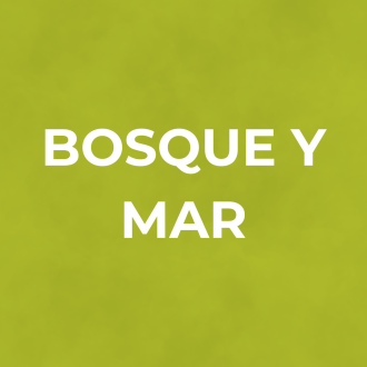 SIN LOGO - TERRACINA - Bosque y mar